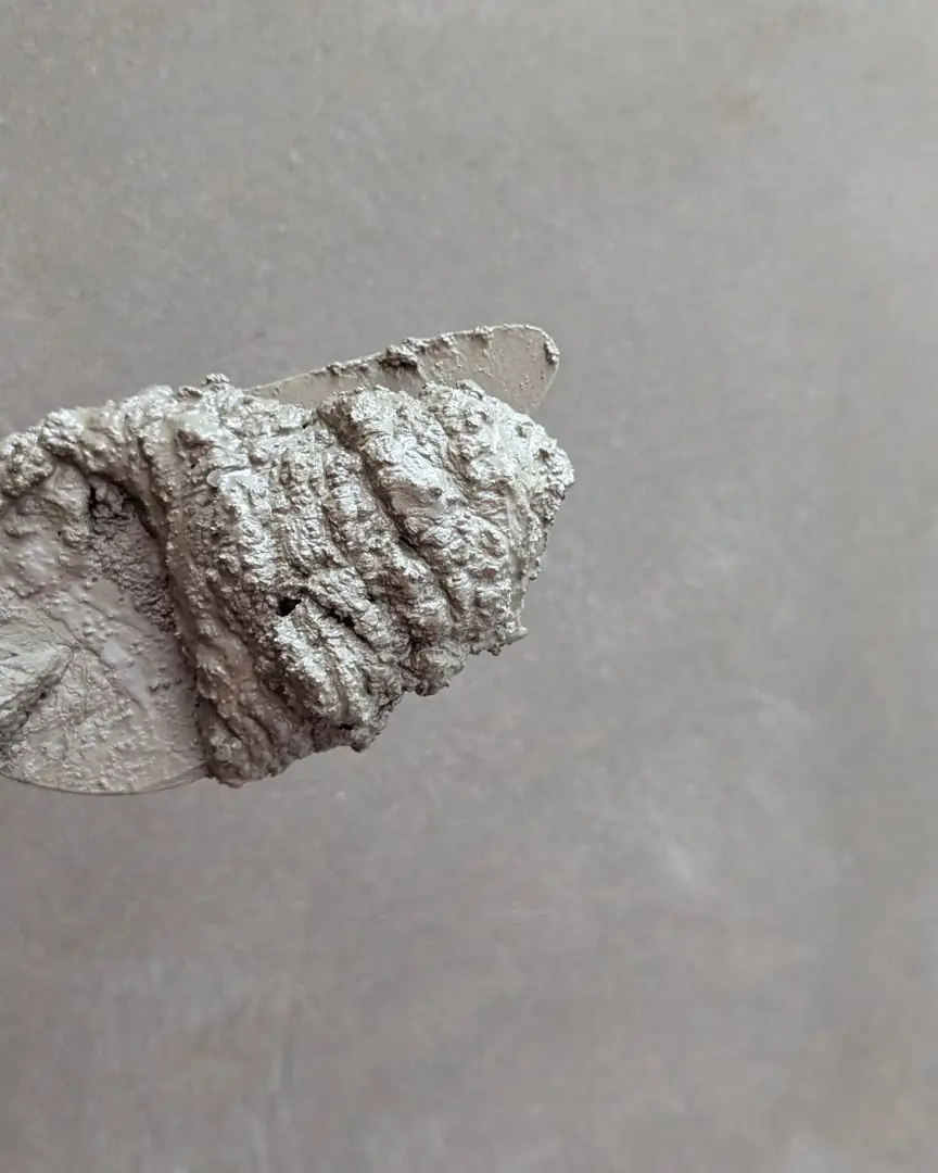 Malada sıva harcı